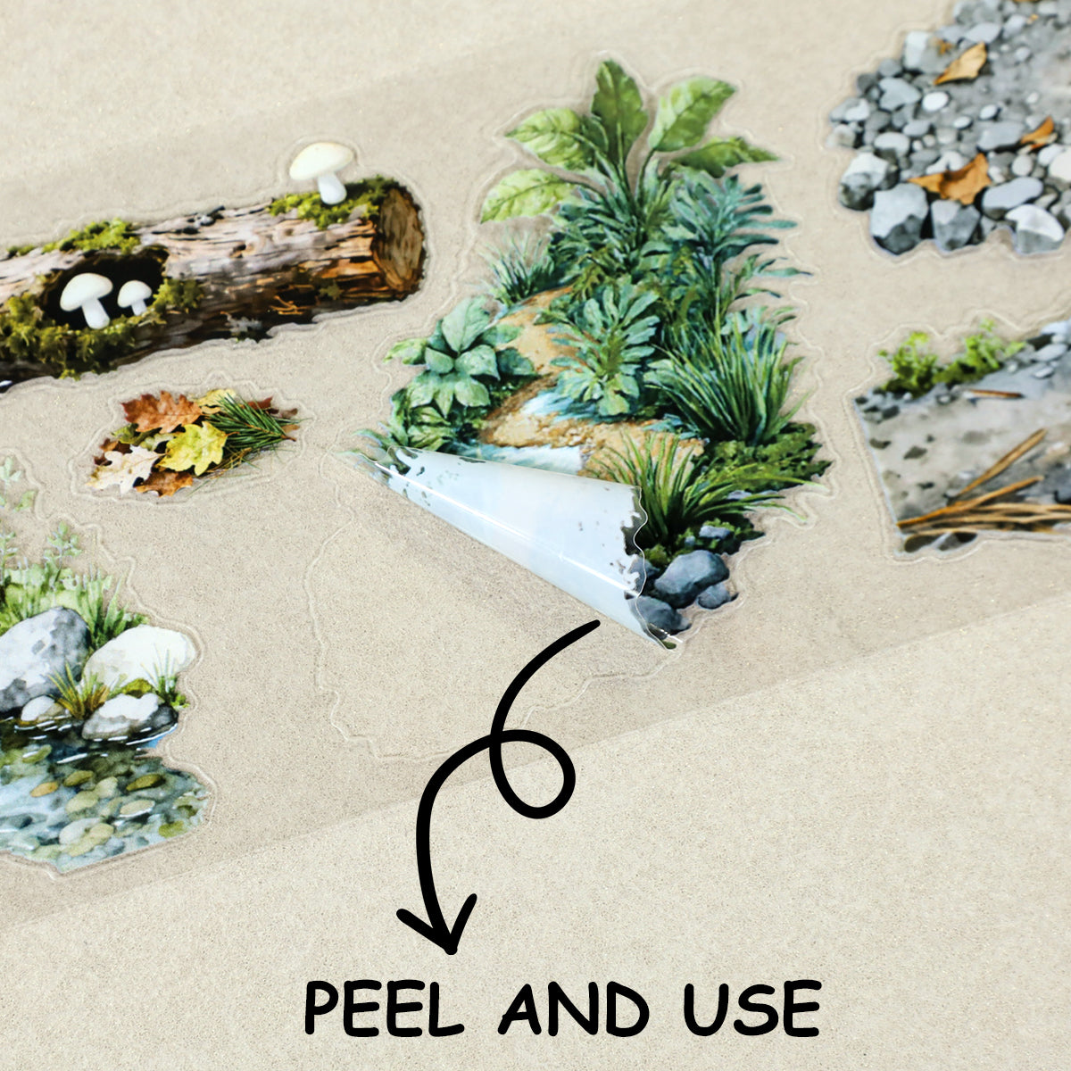 Forest Path Pre-cut PET Tape