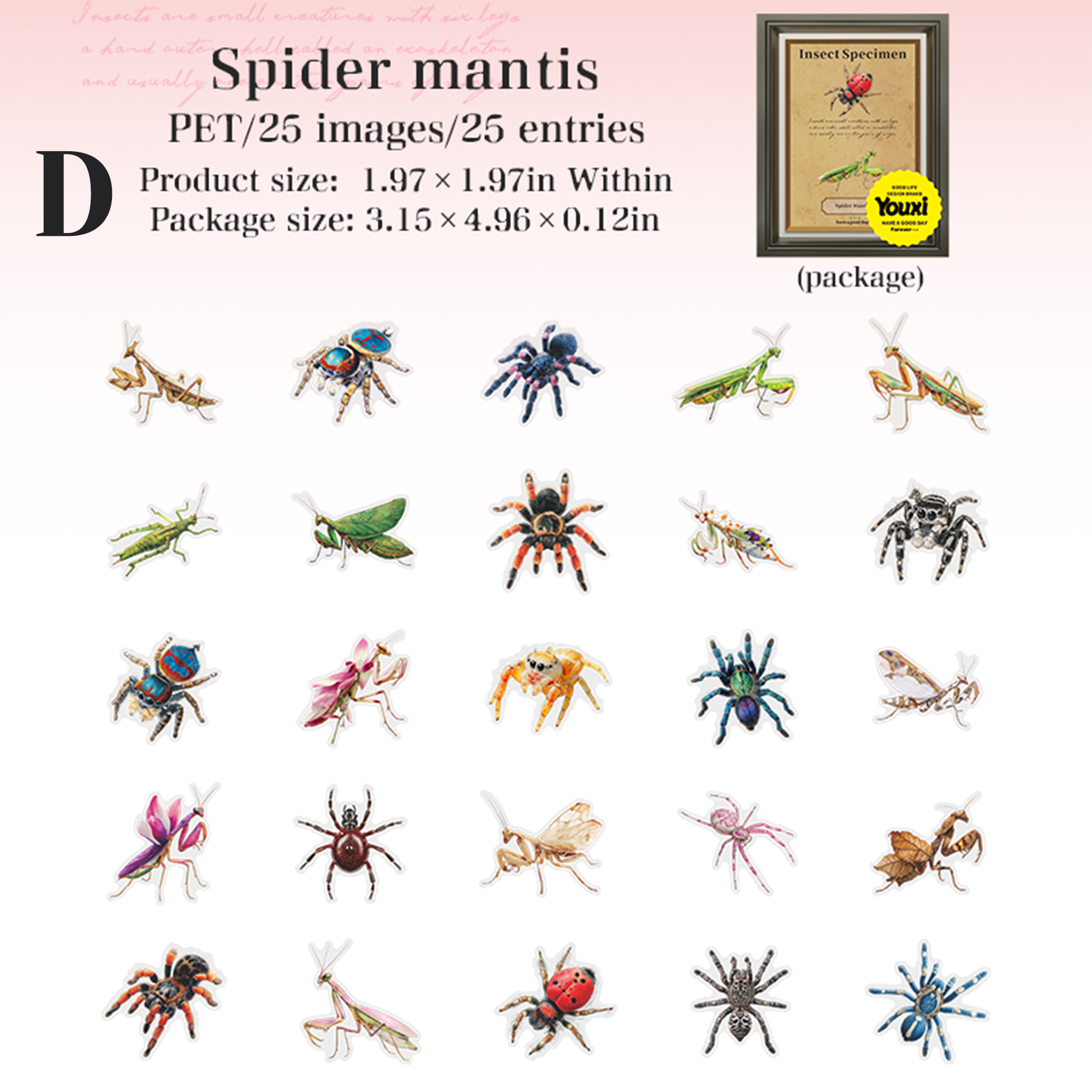 Insect Specimen Guidebook PET Sticker