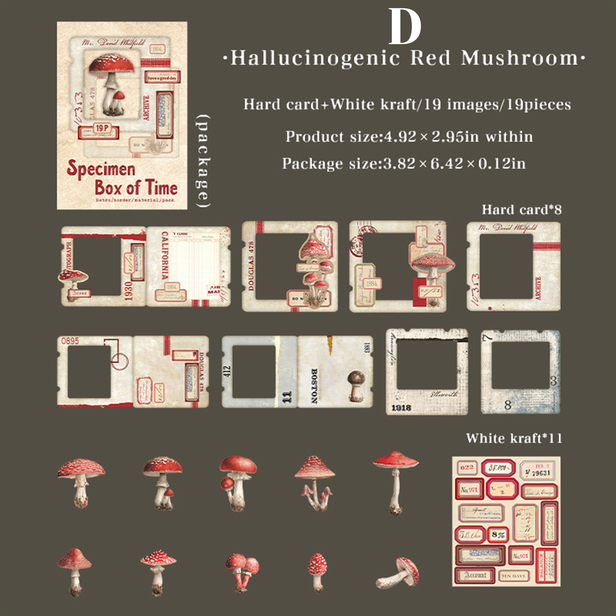 Specimen Box of Time Scrapbooking Paper