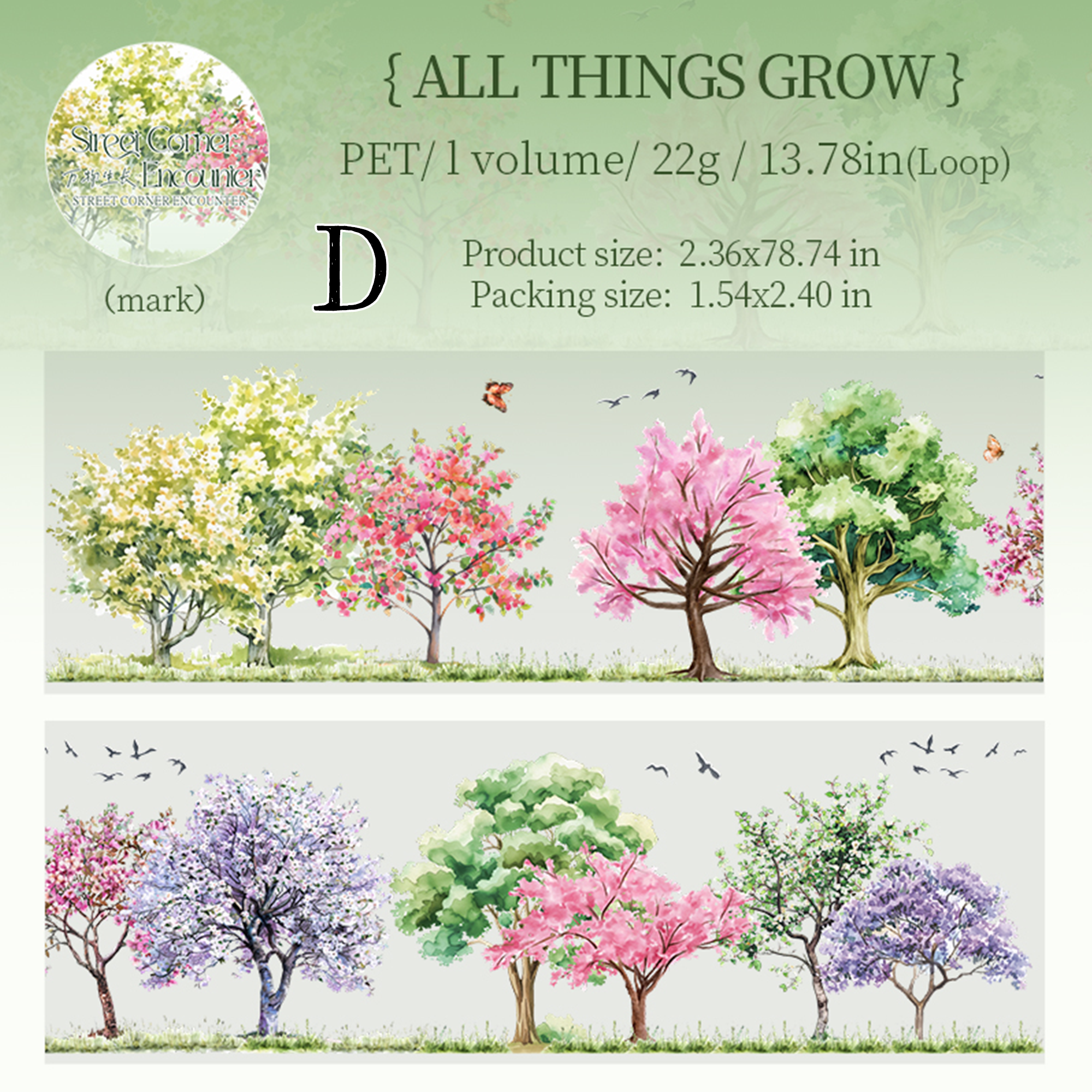 Corner Encounter PET Tape