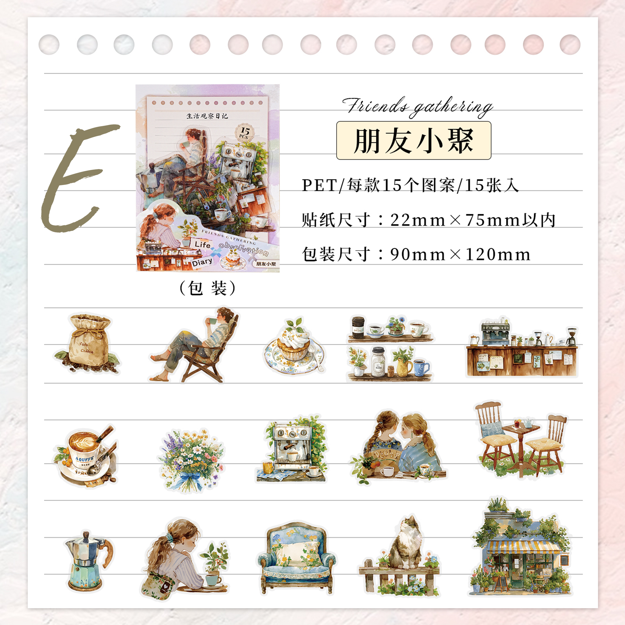 Life Observation Diary PET Sticker