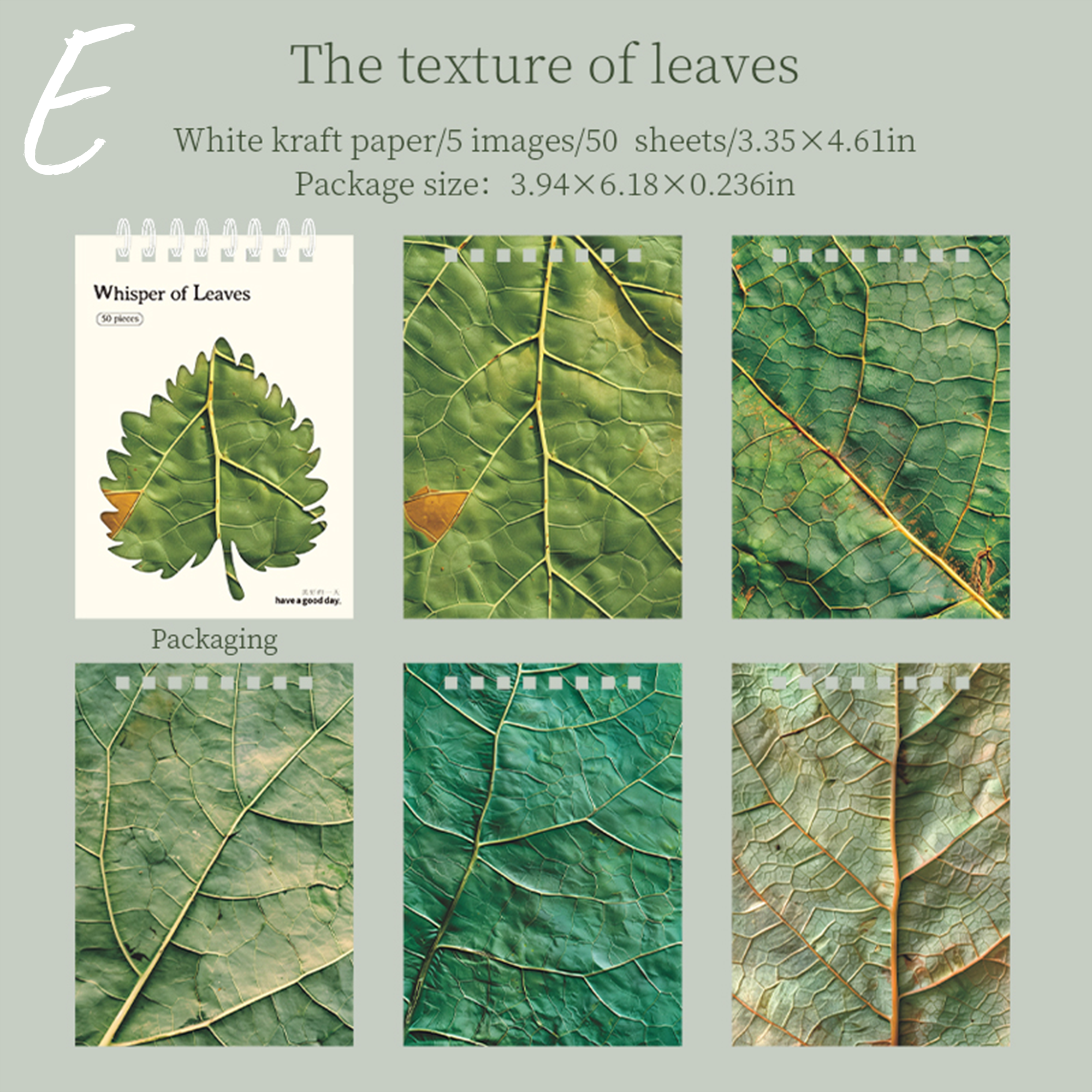 Whispers of Leaves Wirebound Book