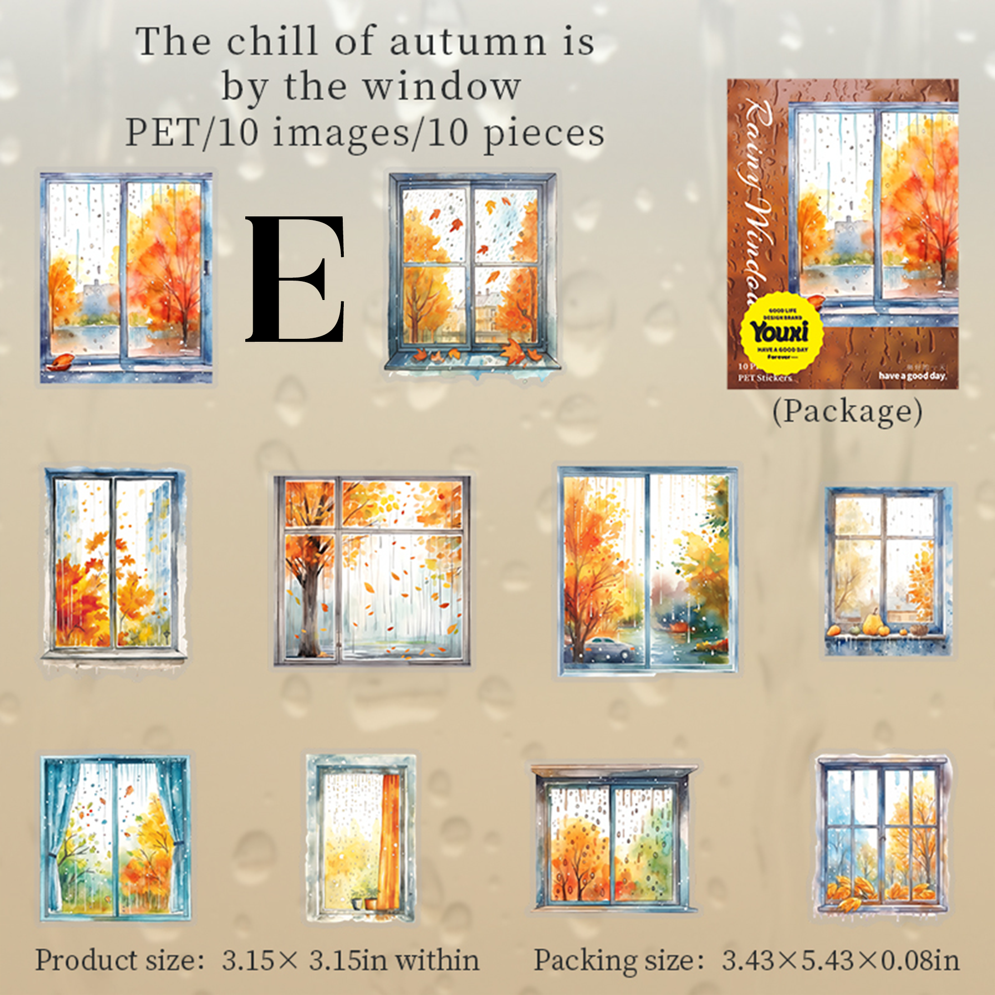 Raing Window PET Sticker