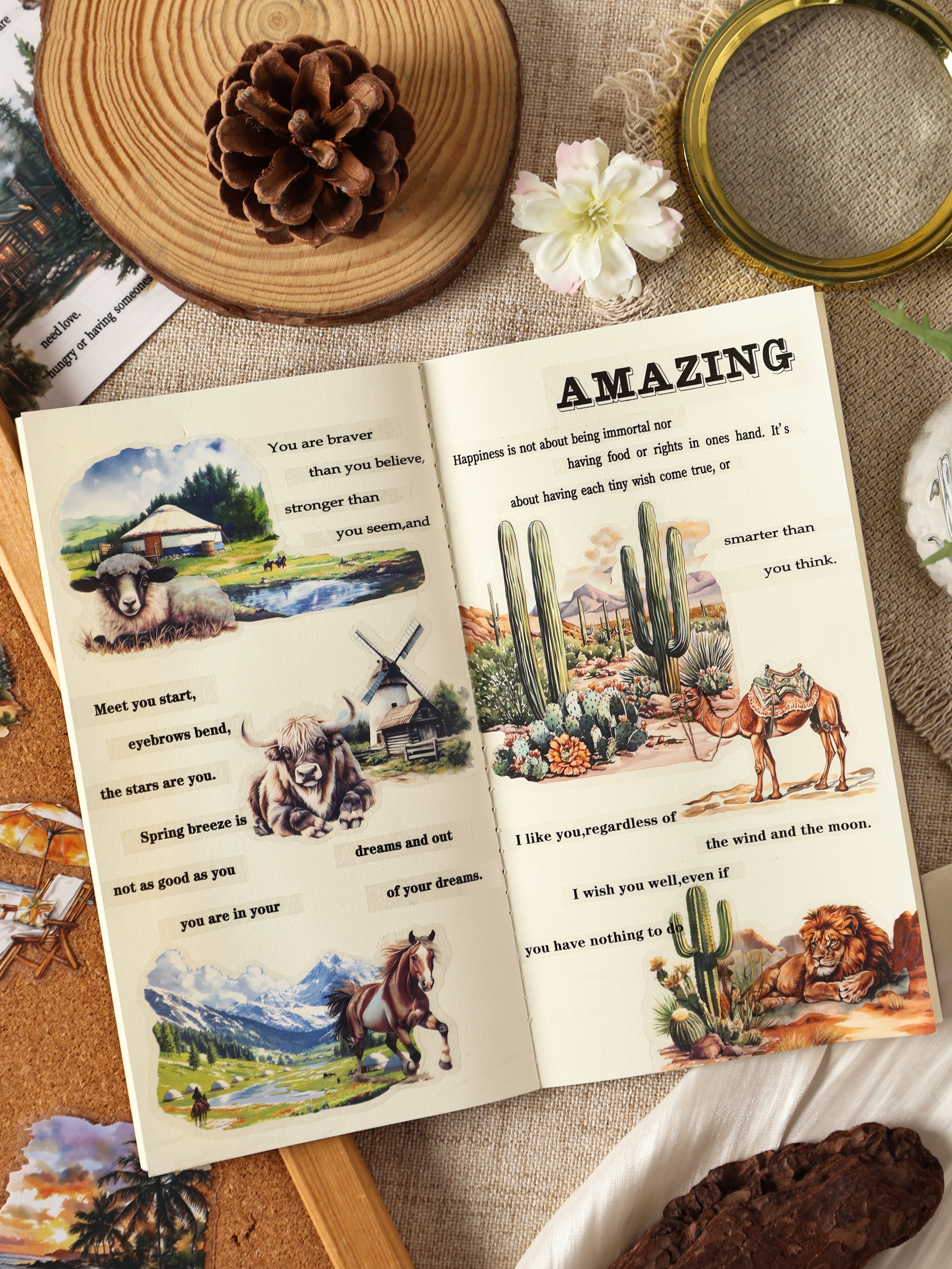 Nature Journey PET Sticker