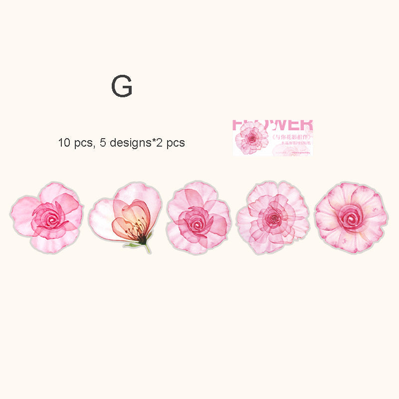 Flowers and Shadows PET Sticker 10pcs