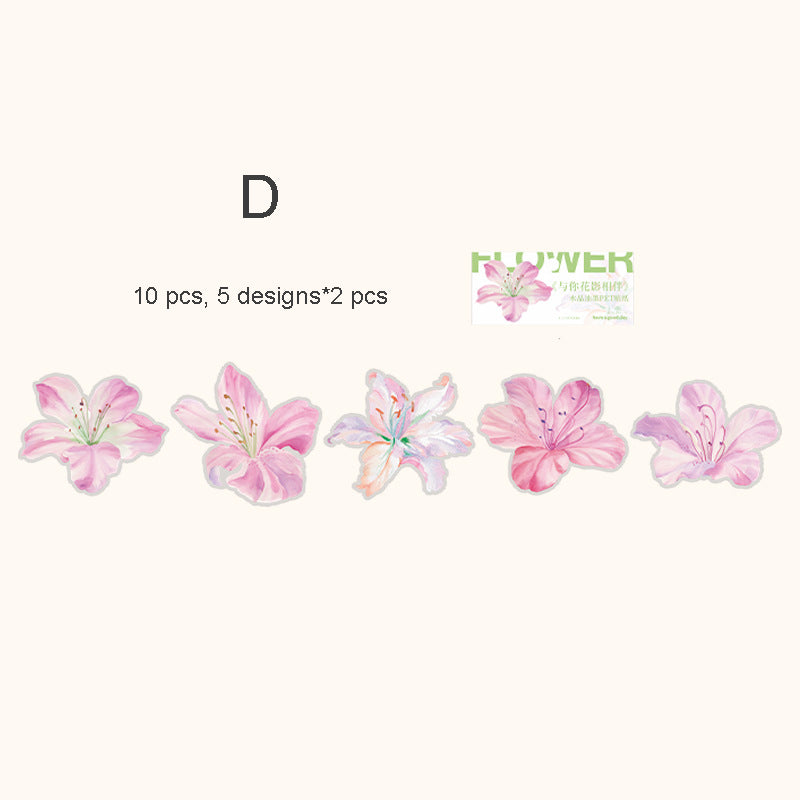 Flowers and Shadows PET Sticker 10pcs