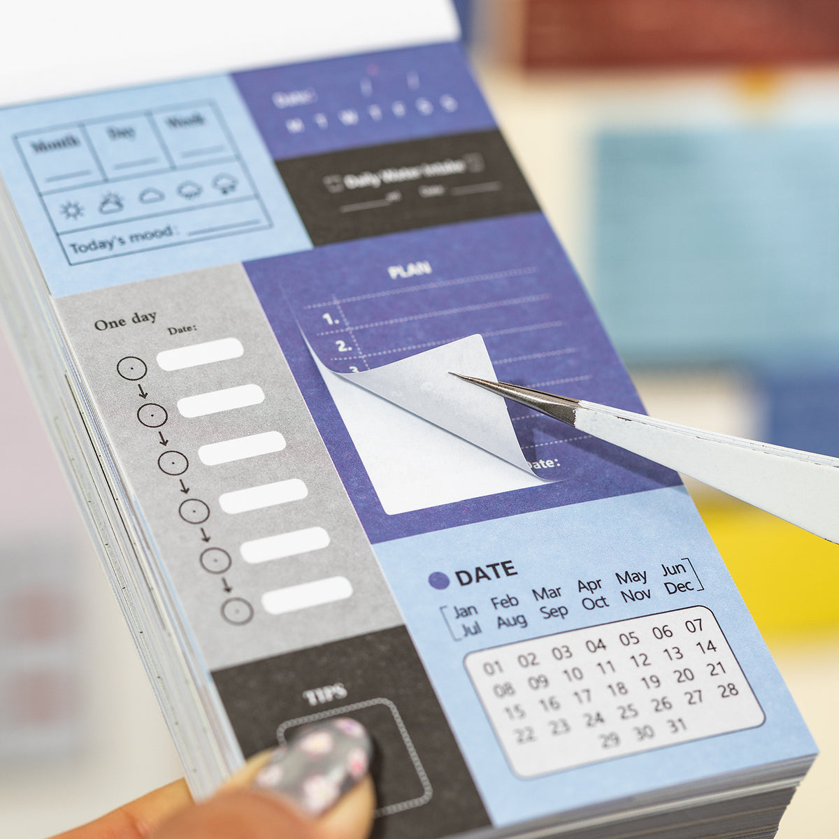 Daily Plan Book Management Sticker Book