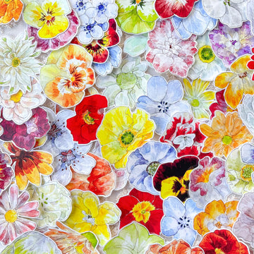 NEW Studio Flowers Pre-cut PET Tape（4 Style）（Whole Roll）