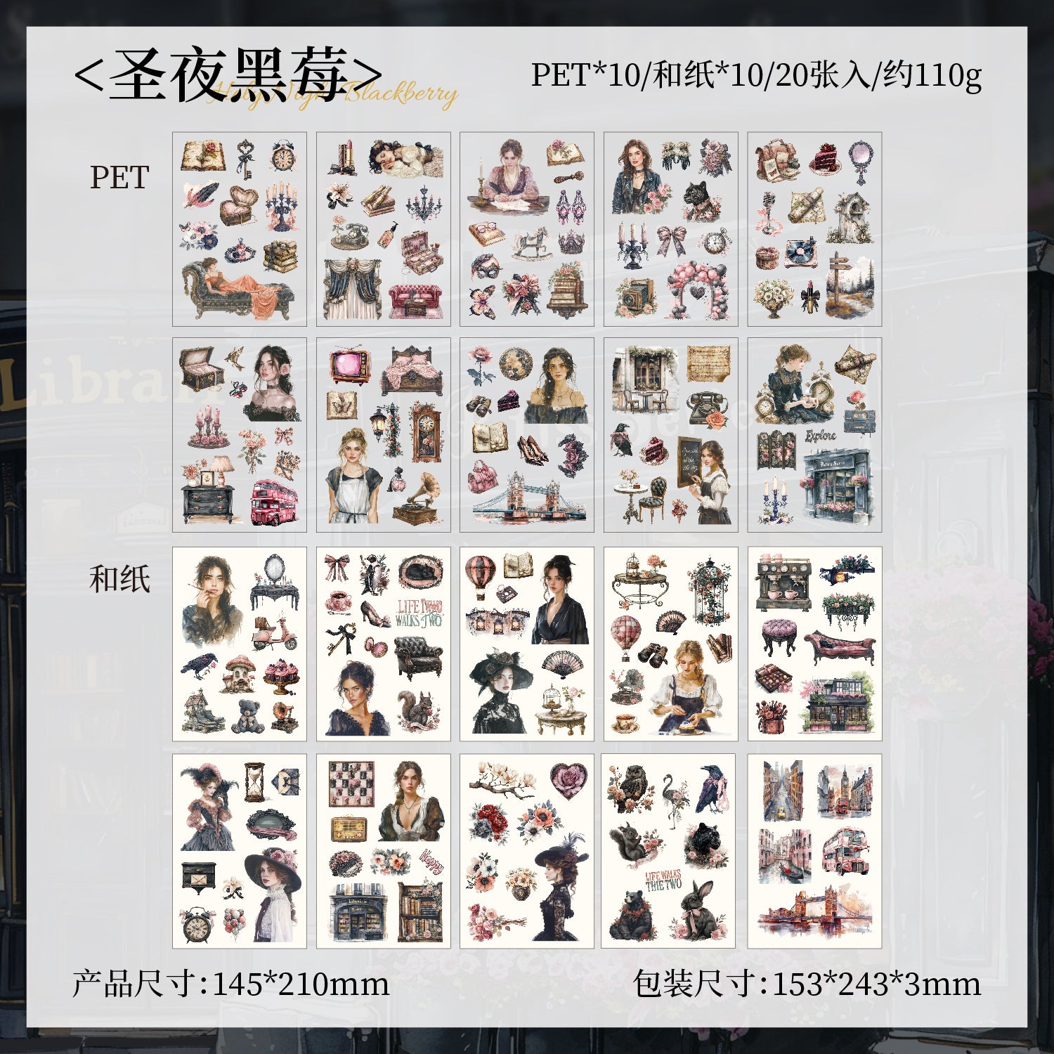 Girl-themed sticker Books