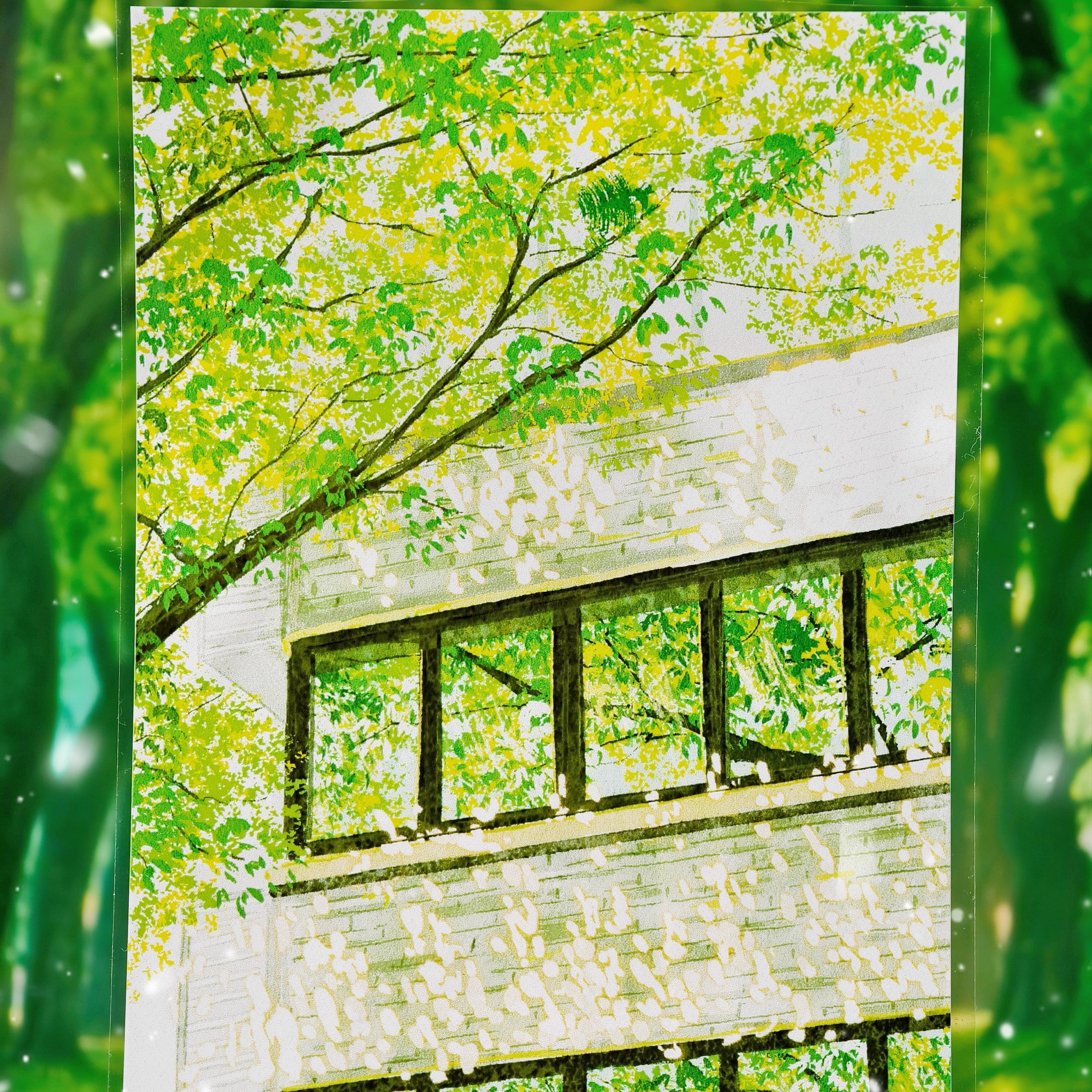 【OKTM】Summer memory PET Landscaping Tape