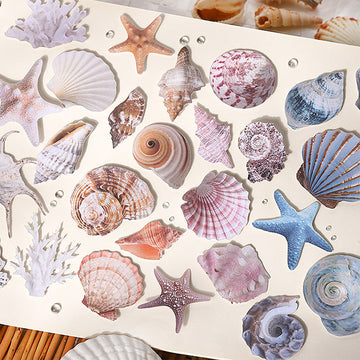 Simulated Shell Rigid Card Stickers