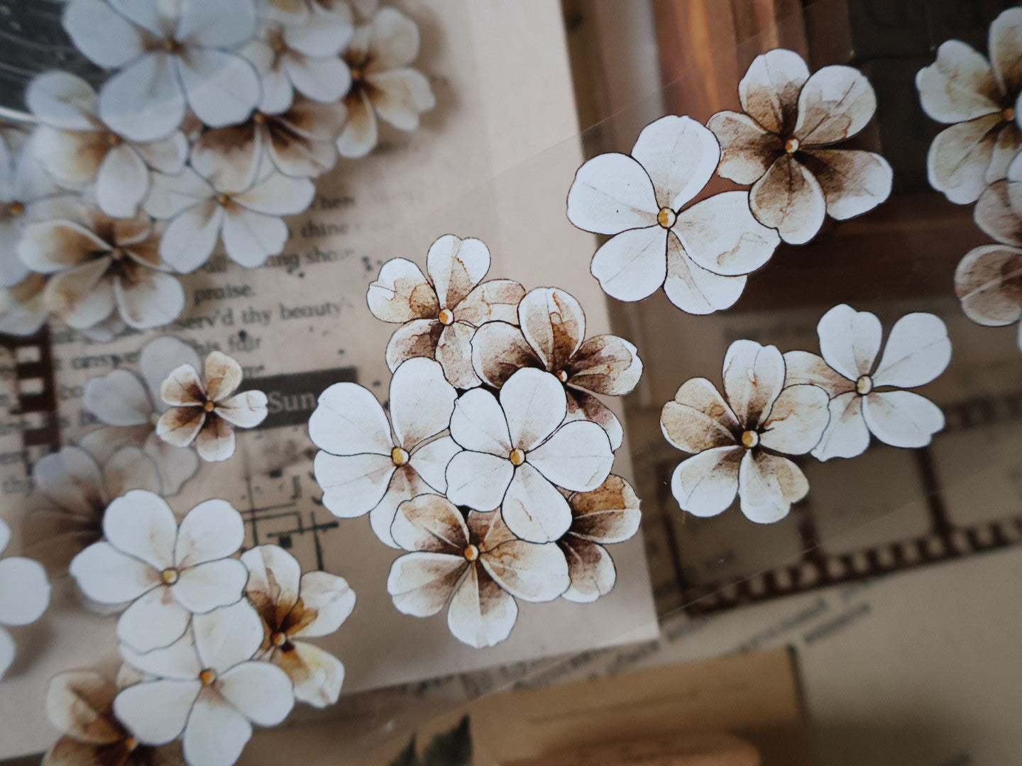 Evening Flowers Tape (5cm*100cm)