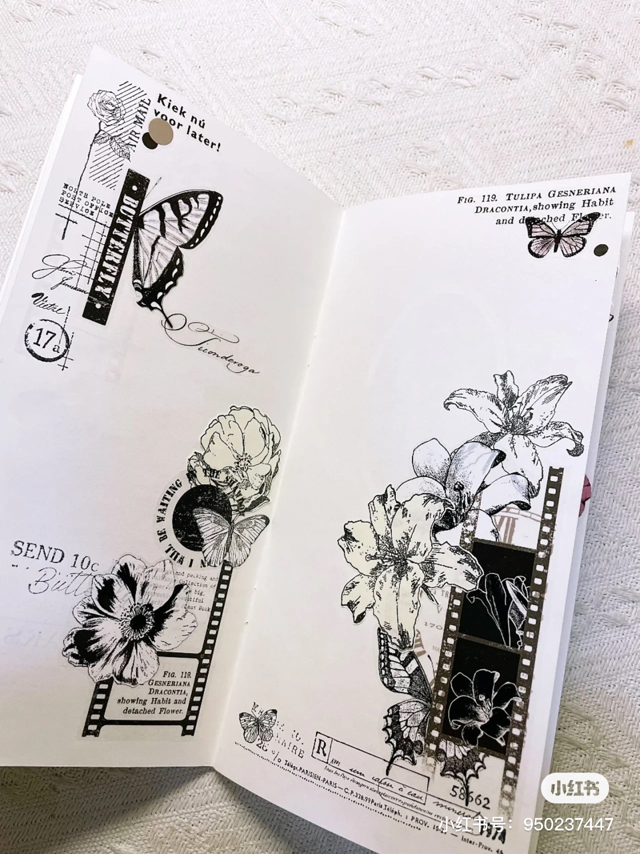 Film and Flowers Tape (5.5cm*100cm)