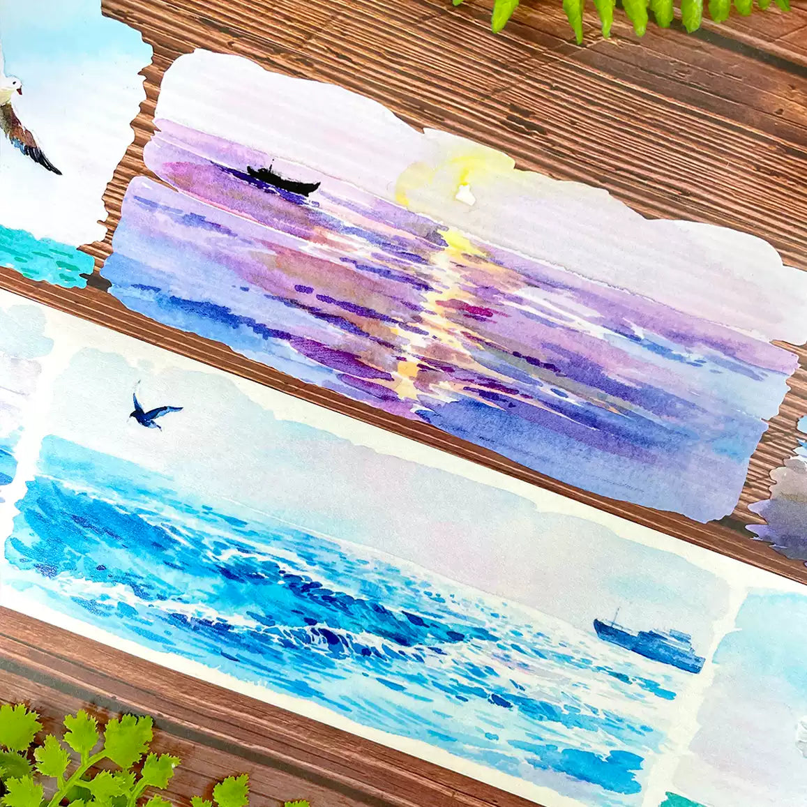 NEW Blue Reef and Sea Tide PET Tape (7cm* 140cm)