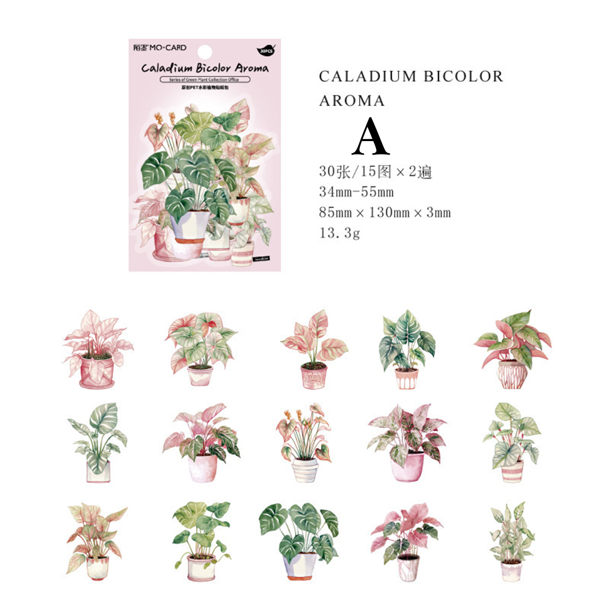  Special Vintage plant watercolor sticker for scrapbook diary