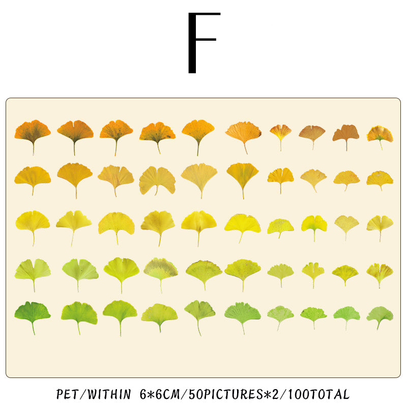 Four Seasons of leaves series sticker 100Pcs