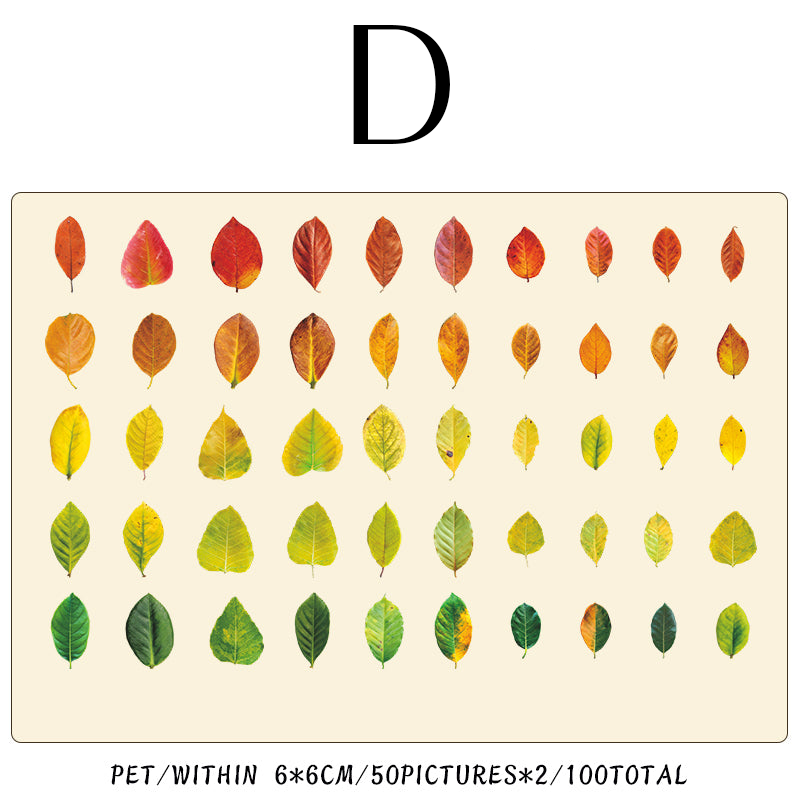 Four Seasons of leaves series sticker 100Pcs