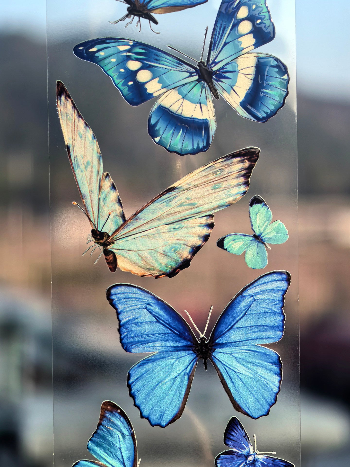 Blue Butterfly Tape