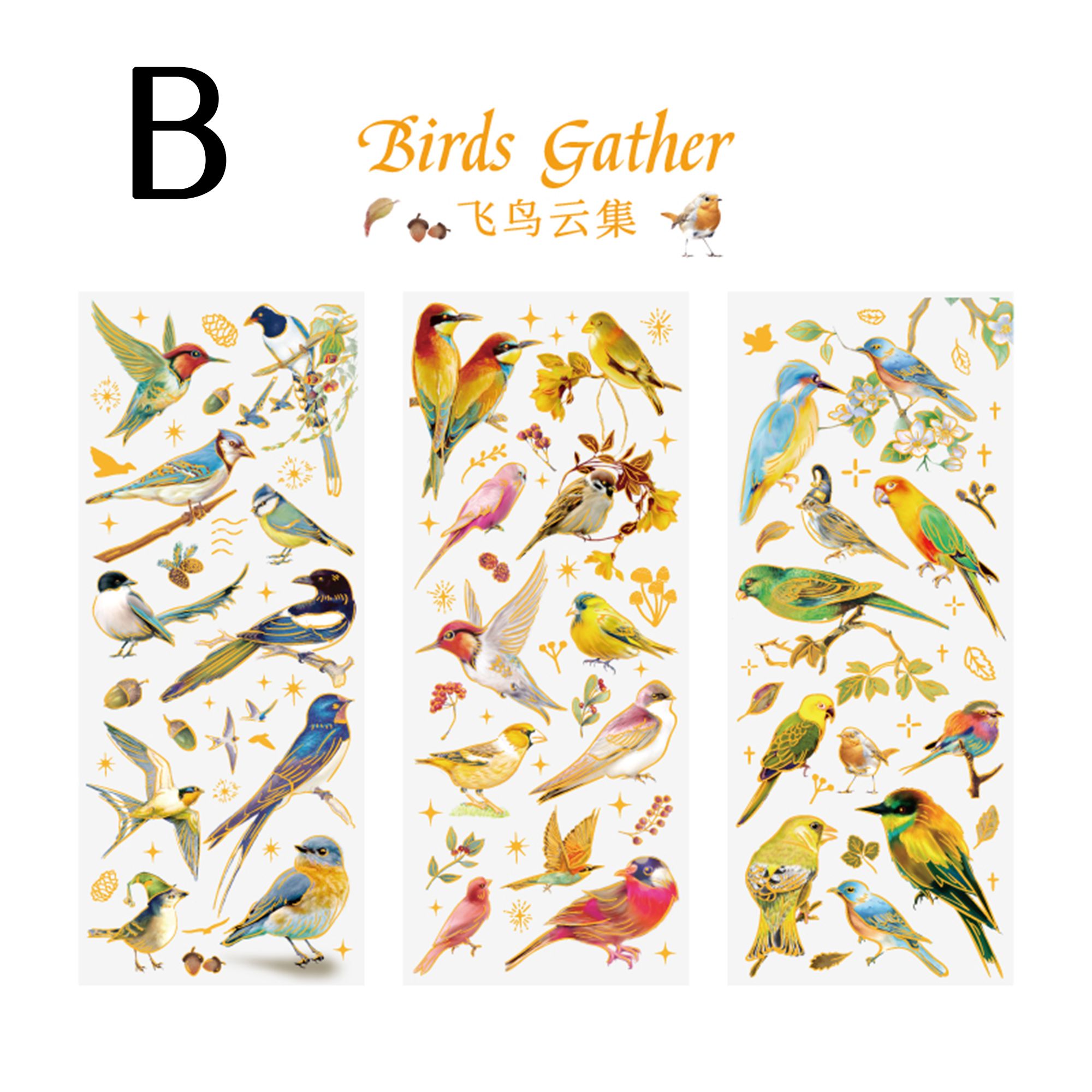 Interesting Things PET Sticker