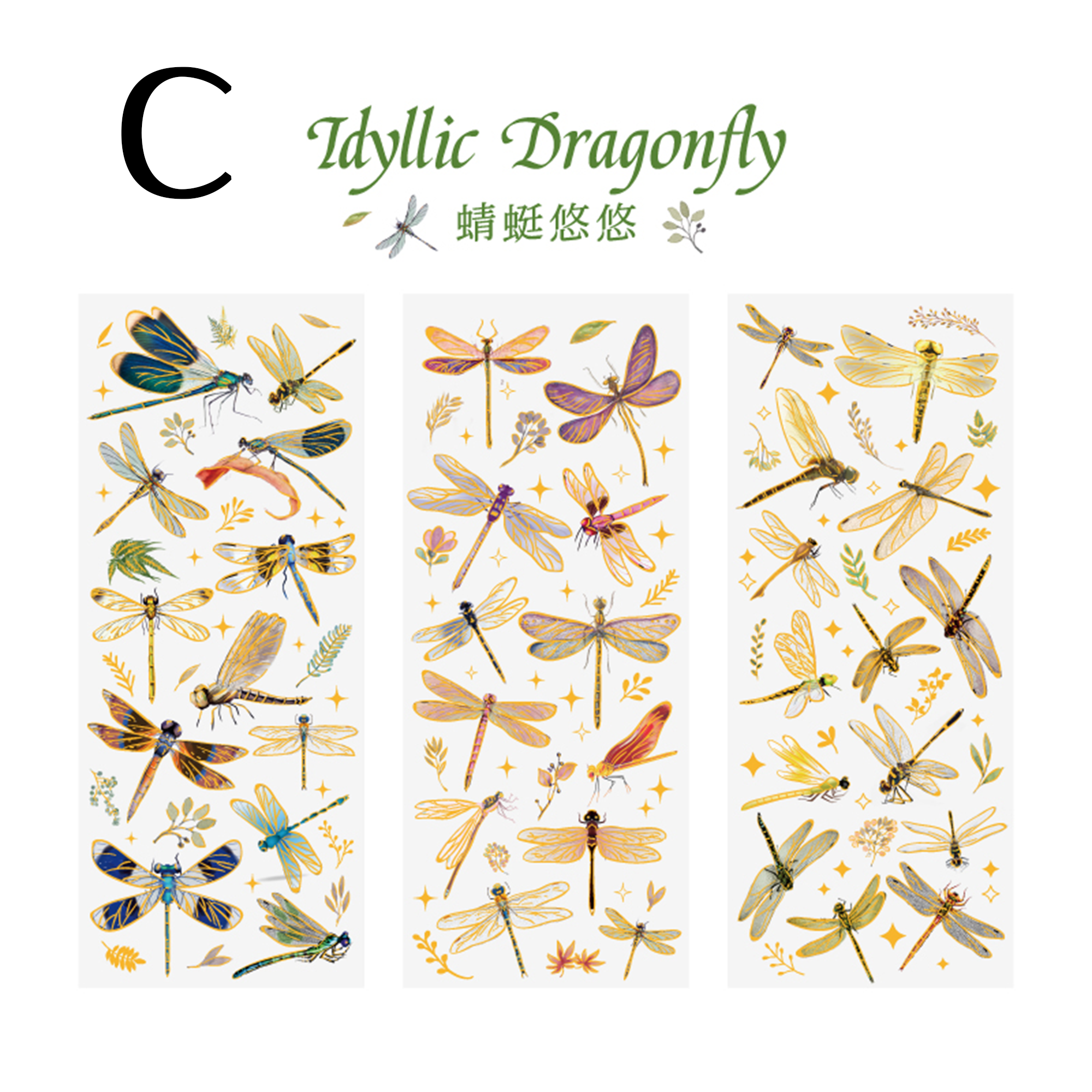 Interesting Things PET Sticker