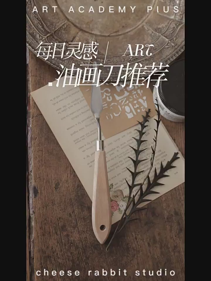 Oil painting scraper & Acryic Modeling Paste