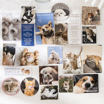 Secrets of Beloved Pets Sticker