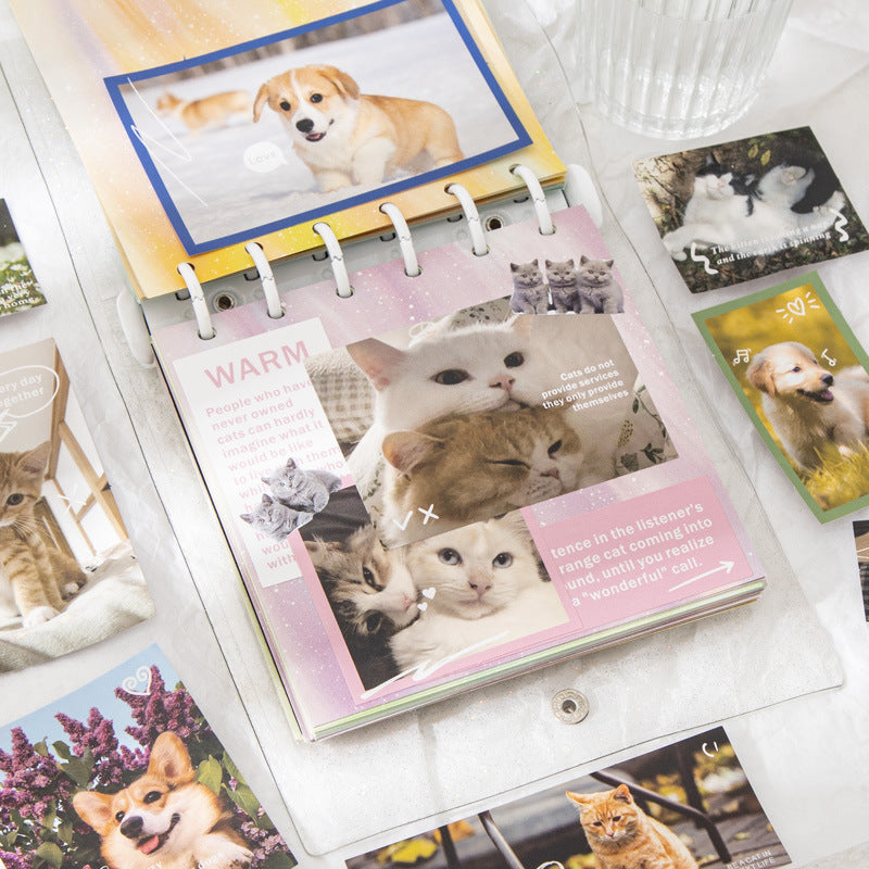 Secrets of Beloved Pets Sticker