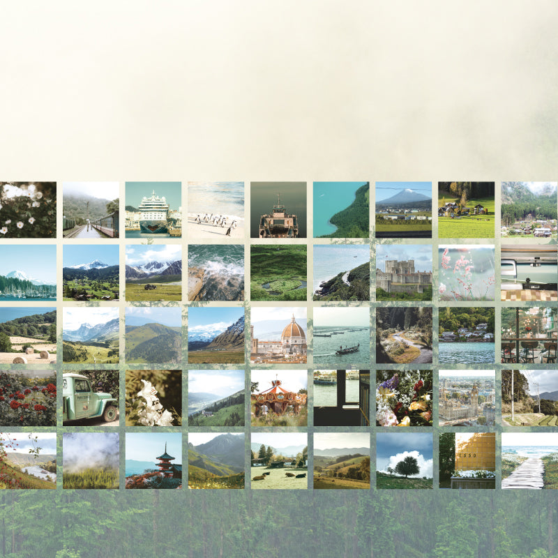 Flower Old Stories series sticker