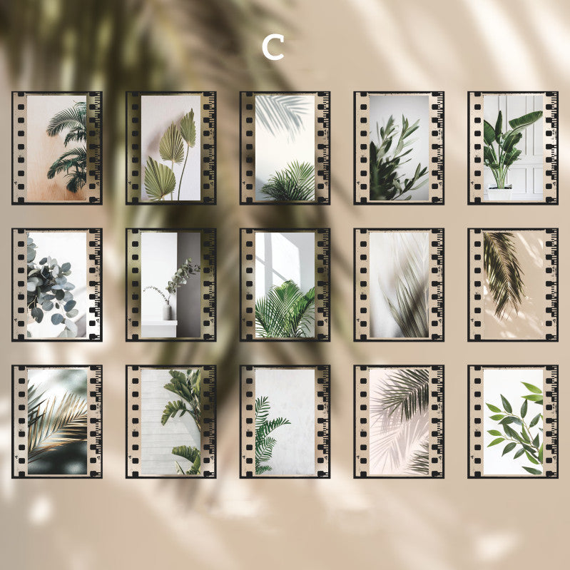 green plant in film frame stickers