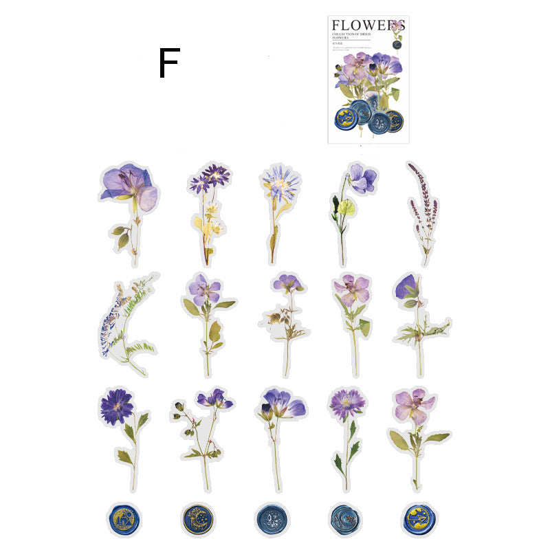 Dried Flower Collection Stickers