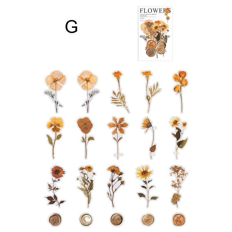 Dried Flower Collection Stickers