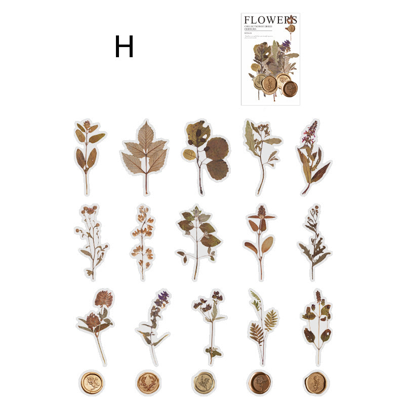 Dried Flower Collection Stickers