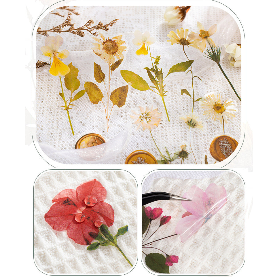 Dried Flower Collection Stickers