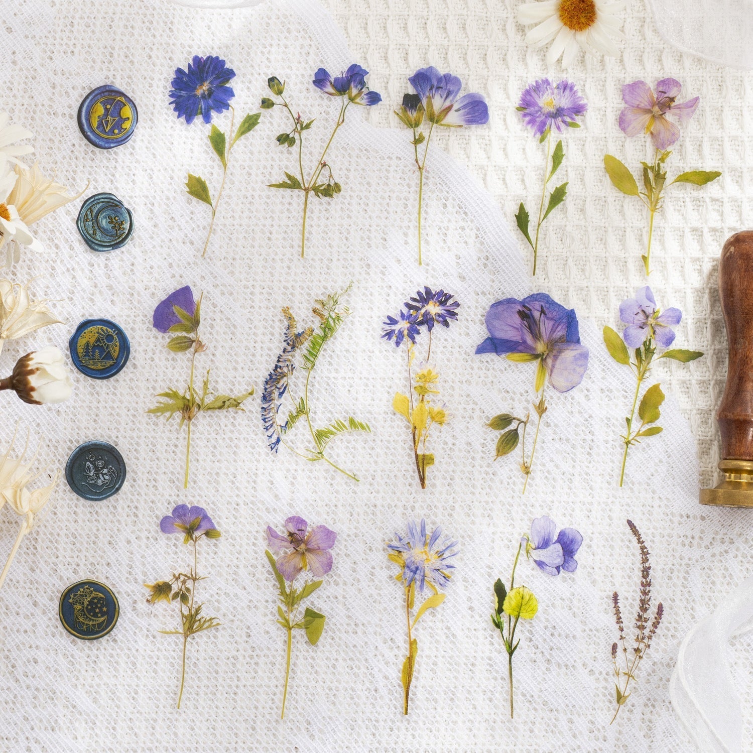 Dried Flower Collection Stickers