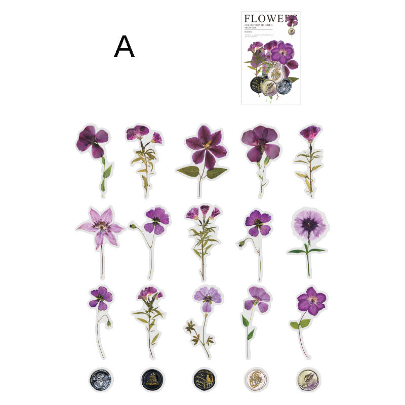 Dried Flower Collection Stickers