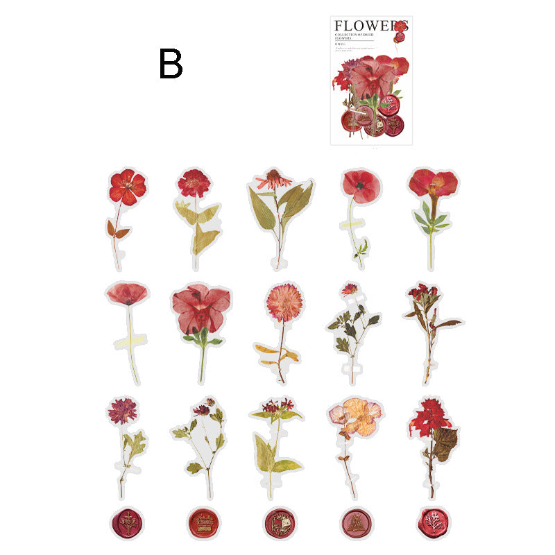 Dried Flower Collection Stickers