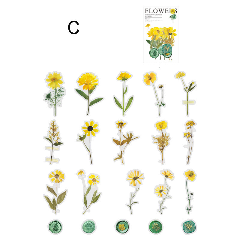 Dried Flower Collection Stickers