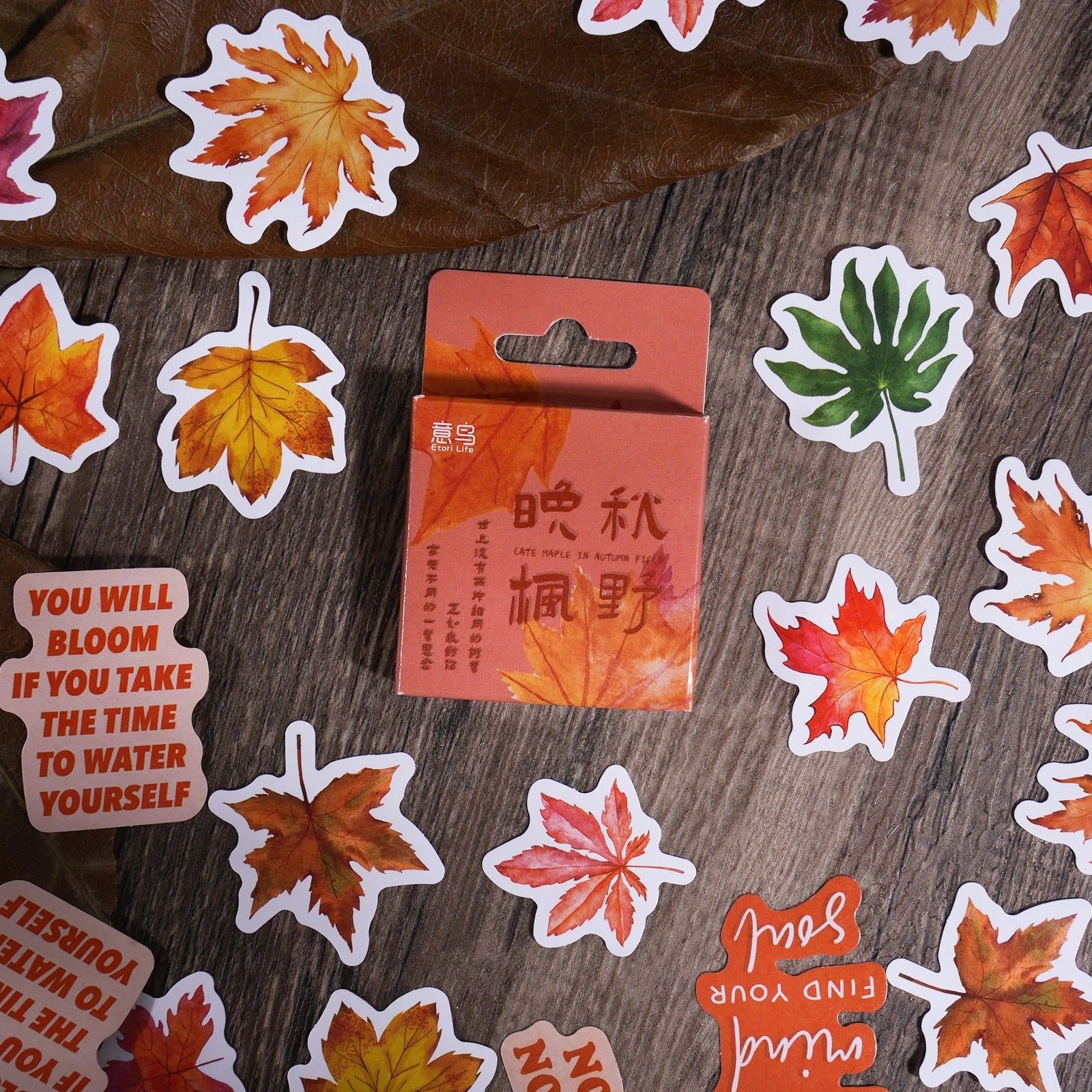 Late Autumn Leaves Stickers 46pcs