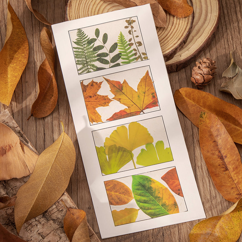 Four Seasons of leaves series sticker 