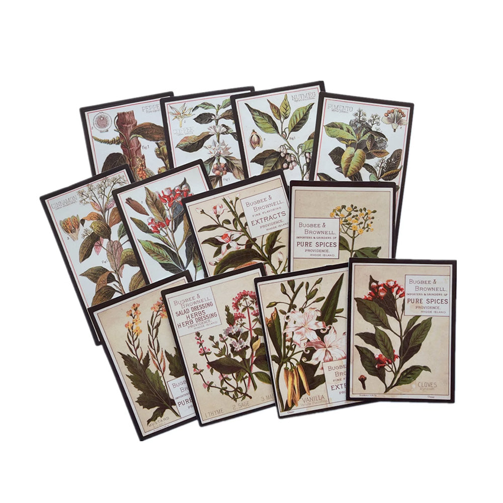 Botanical sticker with English description guide