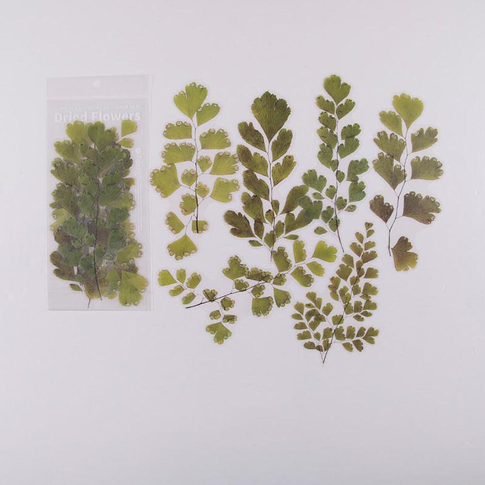 plant stickers for journal