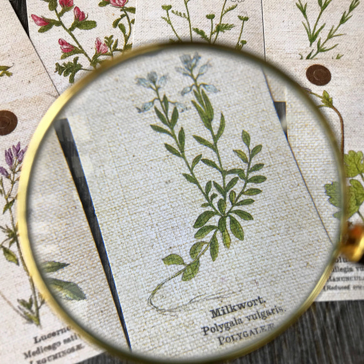 high quality vintage plant tags