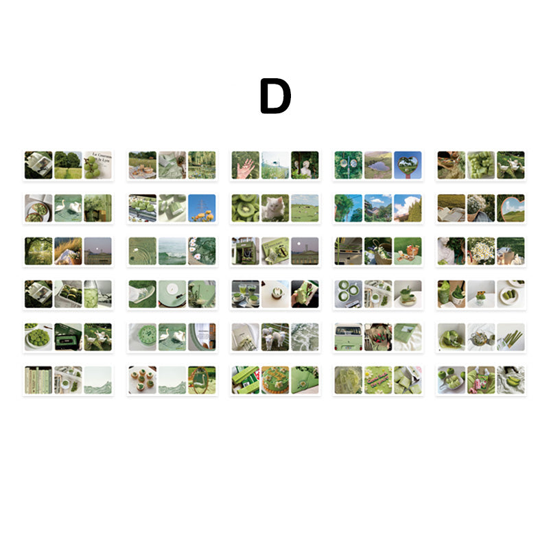 sticker book green color series