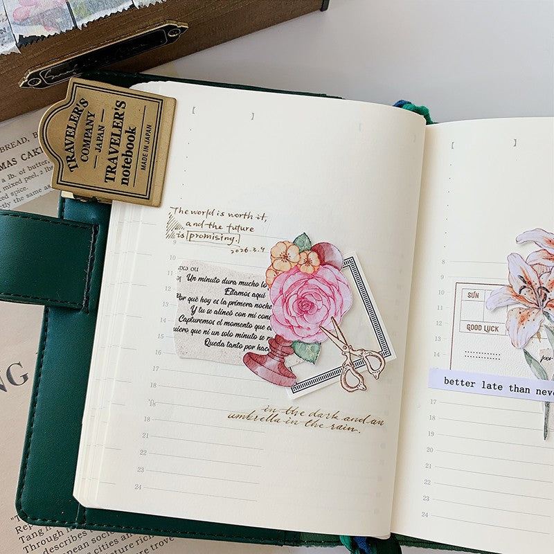 transparent English sentences washi tapes