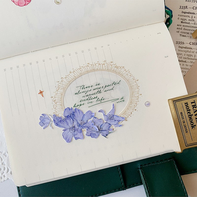 transparent word and sentence sticker