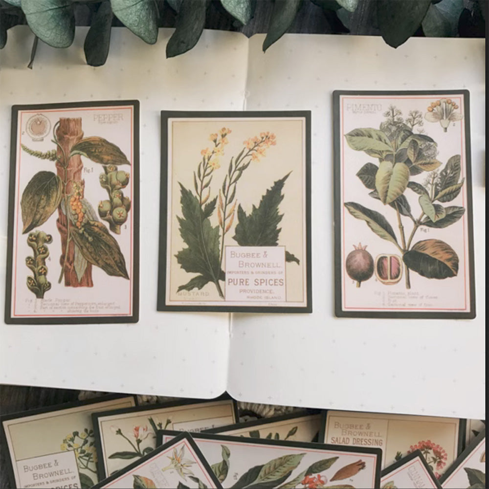 vintage-plant-stickers