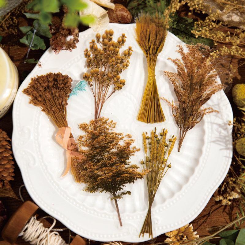 wheat stickers for scrapbooking